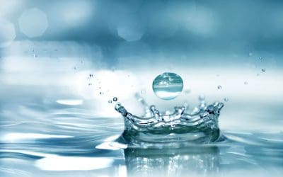 6 Ways to Conserve Water During the Summer